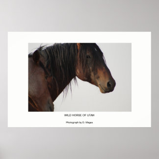 WILD HORSE DU POSTER PHOTOGRAPHIQUE DE L'UTAH