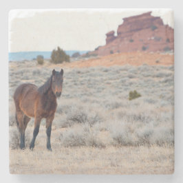 Wild-Horse-Foal-Untersetzer Steinuntersetzer