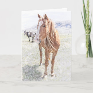 Wild Horse Mustang Weihnachten (Schneeflocken inne