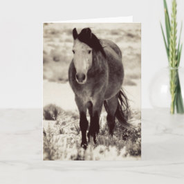 WILD HORSE VON UTAH Falted Grußkarte Karte