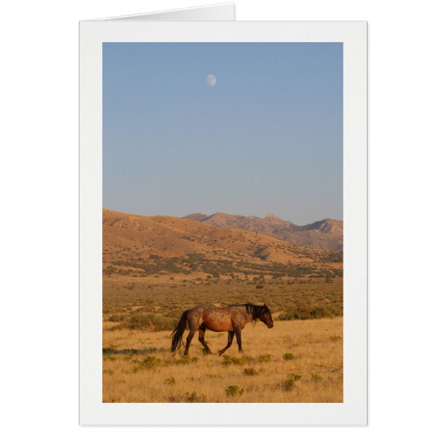 WILD HORSE WALKING MIT NEUER MOON NOTECARD (Vorne)