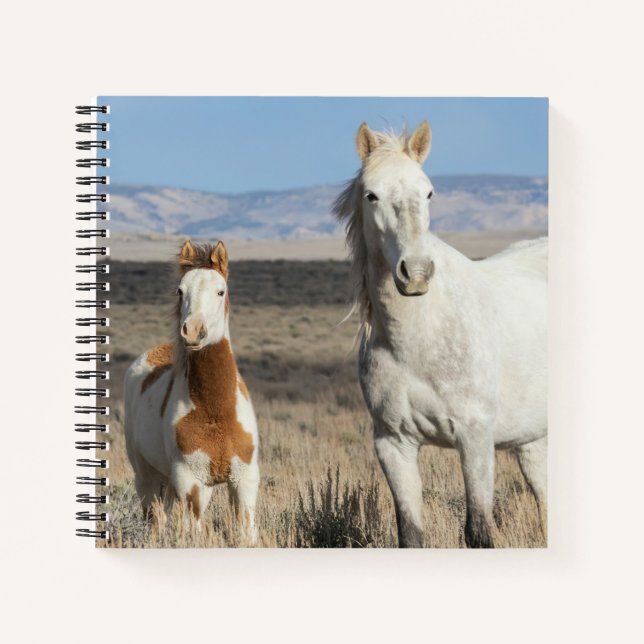 Wild Horses at Home in the Sandwash Basin Notizbuch (Vorderseite)