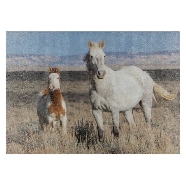 Wild Horses at Home in the Sandwash Basin Schneidebrett (Vorderseite)