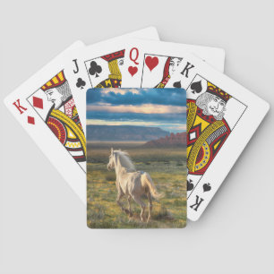 WILD HORSES "Live to Run" Spielkarten