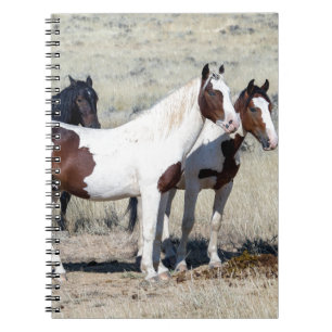 WILD HORSES NOTIZBLOCK
