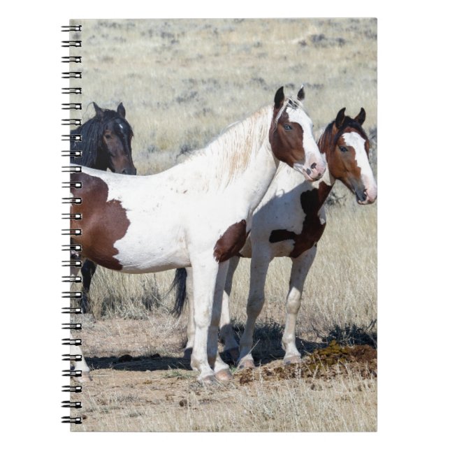 WILD HORSES NOTIZBLOCK (Vorderseite)