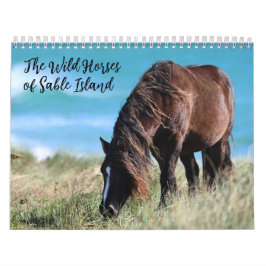 Wild Horses of Sable Island Kalender