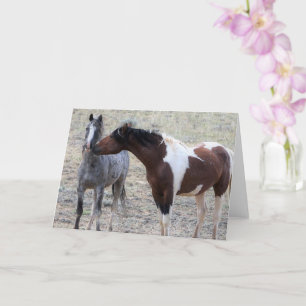 Wild Horses of the American West Karte