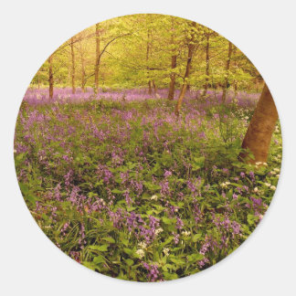 Wild hyacinth "Oszila non scripta" Runder Aufkleber