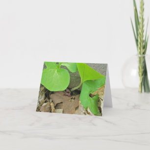 Wild Ingwer in Blume Note Card Karte