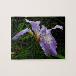 Wild Iris Blume Lila Floral