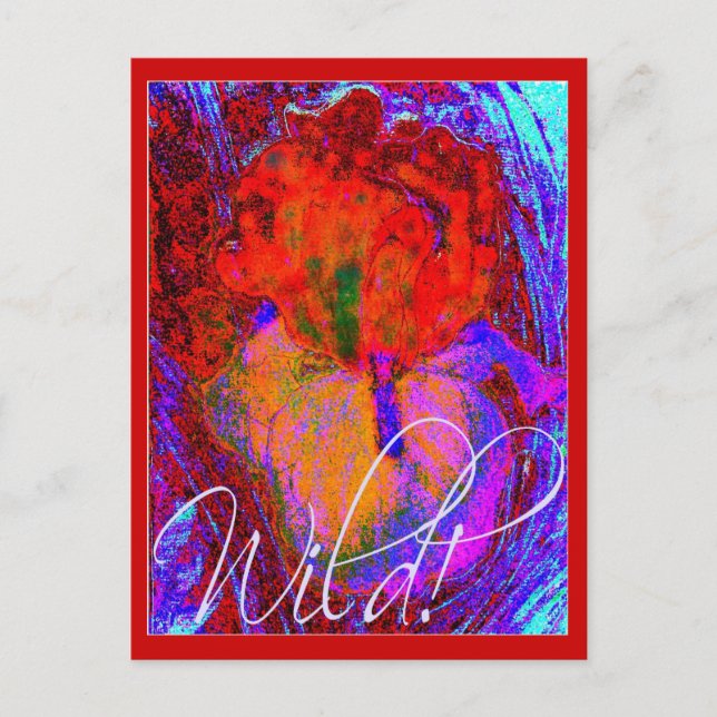 WILD IRIS POSTCARD POSTKARTE (Vorderseite)