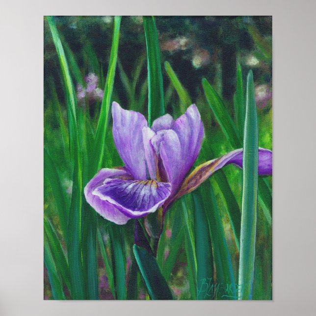 Wild Iris Poster (Vorne)