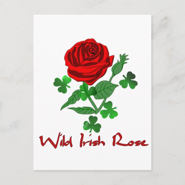 Wild irische Rose Postkarte (Vorderseite)