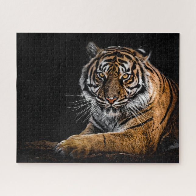 Wild Jungle Animal Tiger (Horizontal)