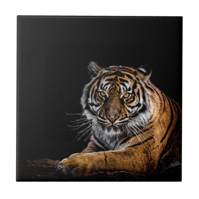 Wild Jungle Animal Tiger Fliese (Vorderseite)