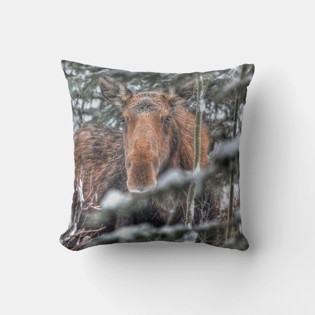 Wild kanadische Elchkühe im Winterwald Kissen (Vorderseite)