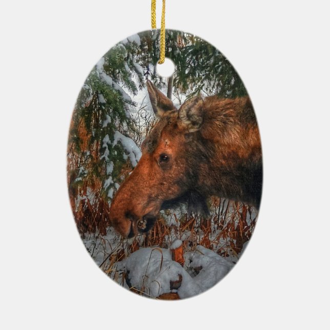 Wild kanadische Elsenweide im Winterwald Keramikornament (Hinten)