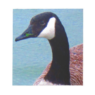 Wild kanadische Gans Notizblock