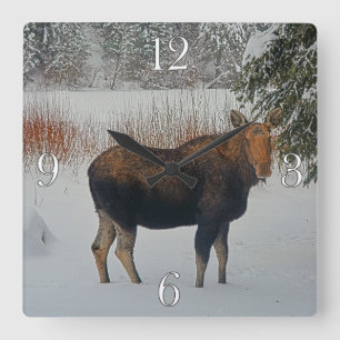 Wild kanadischer Elch im Winterschnee IV Quadratische Wanduhr