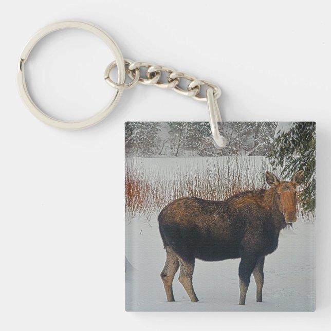 Wild kanadischer Elch im Winterschnee IV Schlüsselanhänger (Vorderseite)