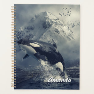 Wild Killer Whale Jumping Planer