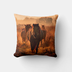 wild konik horses wich came running straight towar kissen