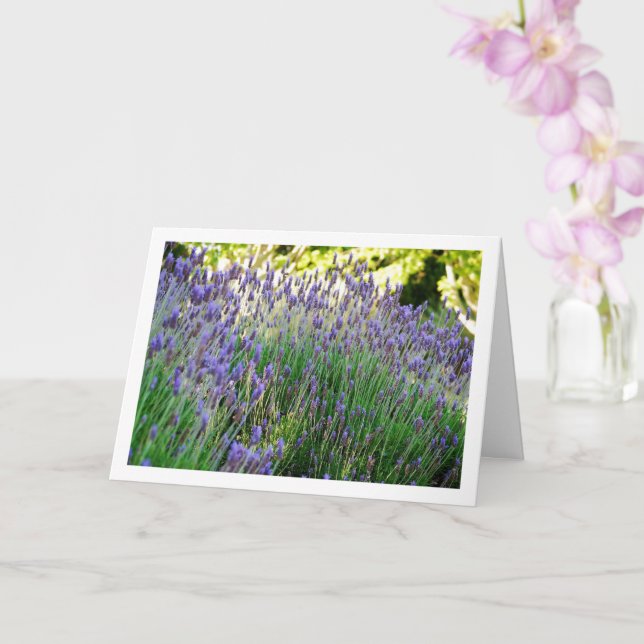 Wild Lavender Portrait Karte (Orchidee)