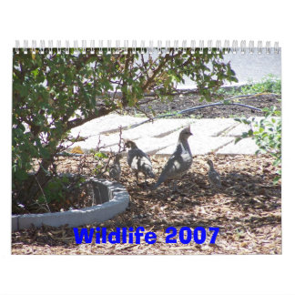 Wild lebende Tiere 2007 Kalender