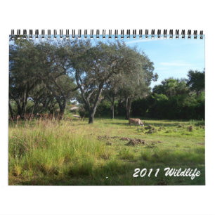 Wild lebende Tiere 2011 Kalender