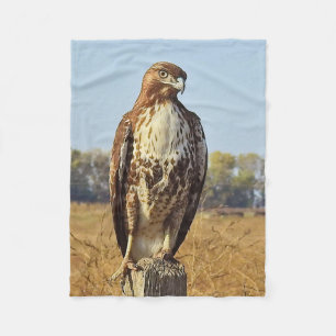 Wild lebende Tiere, Fleecedecke, Vögel, Rot bande Fleecedecke