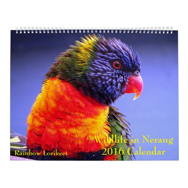 Wild lebende Tiere in Nerang 2016 Kalender (Titelbild)