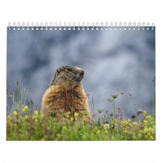 Wild lebende Tiere Kalender