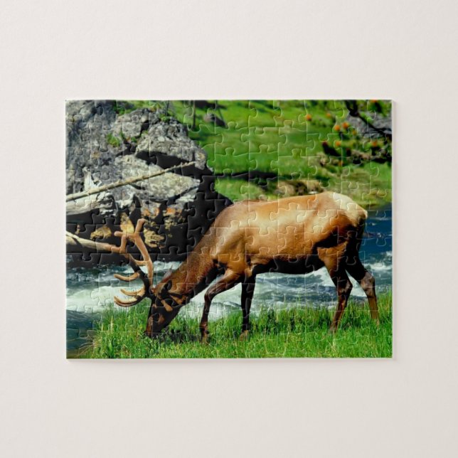 Wild lebende Tiere Puzzlespiel-Elche (Horizontal)