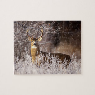 Wild lebende Tiere Puzzlespiel-Rotwild