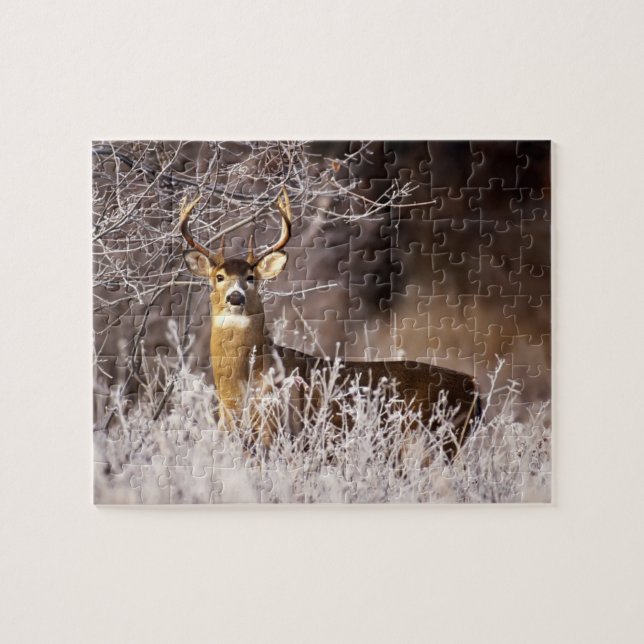 Wild lebende Tiere Puzzlespiel-Rotwild (Horizontal)