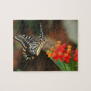 Wild lebende Tiere Puzzlespiel-Schmetterling