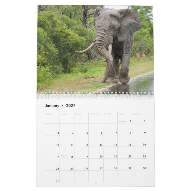 Wild lebende Tiere von Südafrika-Kalender Kalender (Jan 2027)