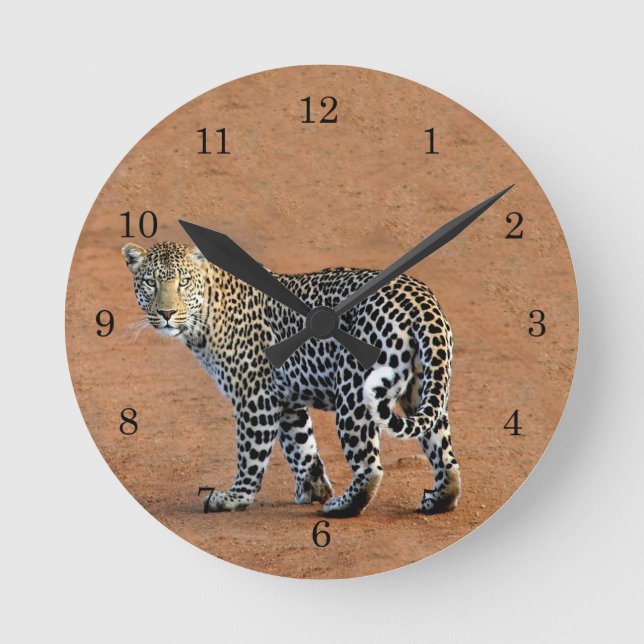 Wild Leopard in Africa Runde Wanduhr (Vorderseite)