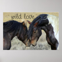 WILD LIEBE PORSES