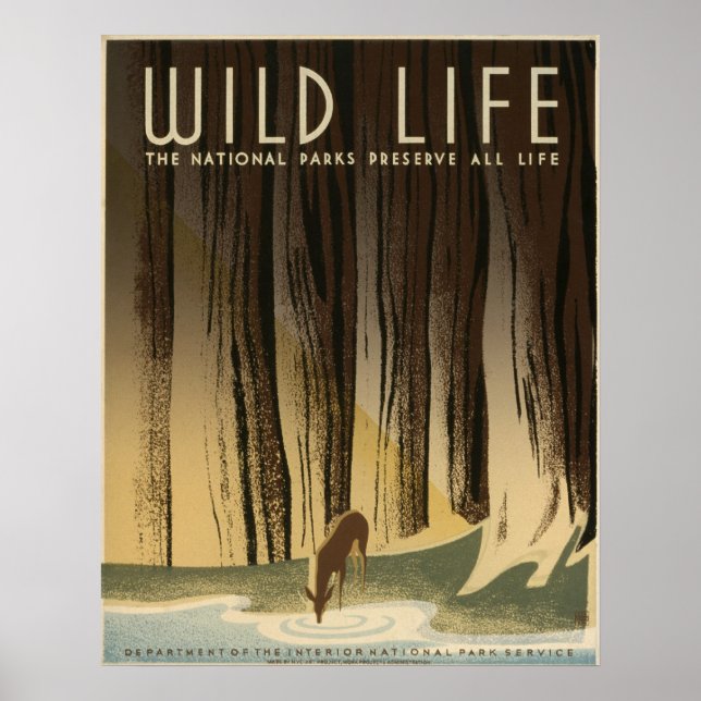 Wild Life Vintag 1940 Nationalpark Service Poster (Vorne)