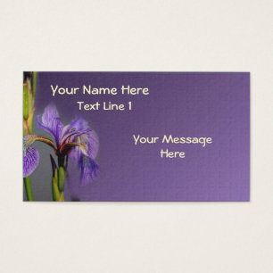 Wild Lila blaue Flagge Iris Blume
