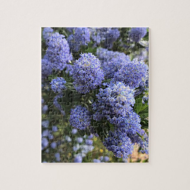 Wild Lilacs (Vertikal)