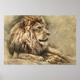 Wild Lion Safari Jungle Artwork Foto Poster