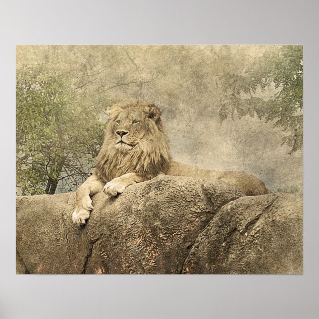 Wild Lion Safari Jungle Artwork Foto Poster (Vorne)
