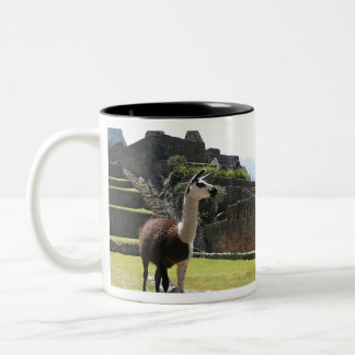 Wild Llama Near Ruins Zweifarbige Tasse