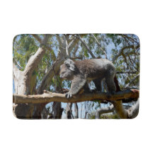 Wild Male Australian Koala Walking, Memory Foam