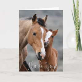Wild Mare and Foal Foto Danke, Card Dankeskarte