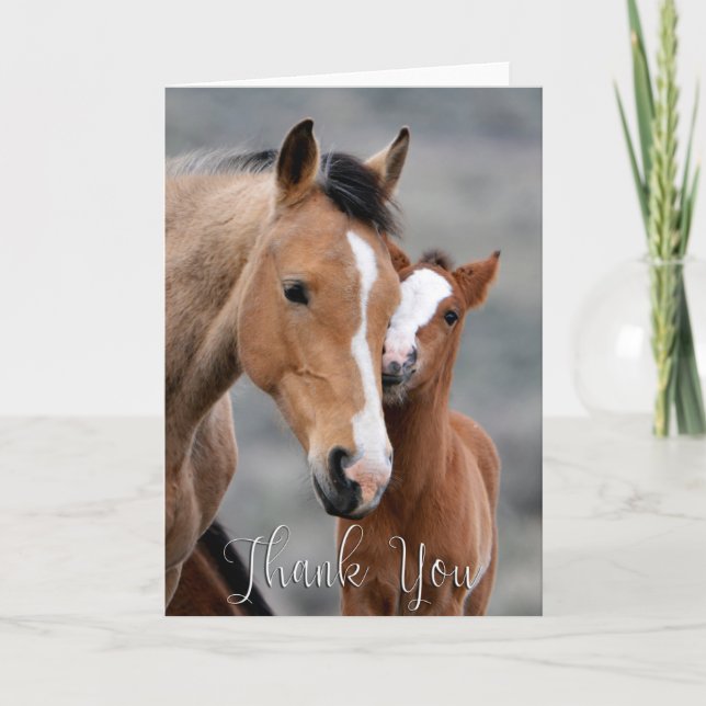 Wild Mare and Foal Foto Danke, Card Dankeskarte (Vorderseite)