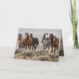 "Wild Mares and Foal on the Move" Einladung